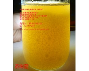 茶樹菇 液體菌種 發(fā)酵罐 培養(yǎng)基 營養(yǎng)料 培養(yǎng)料