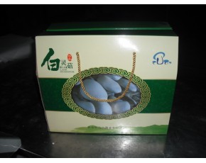 周年供應(yīng)新鮮白靈菇