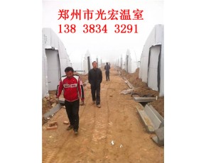 新型蘑菇大棚建造 邯鄲食用菌大棚建造技術(shù)