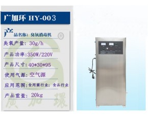 30空氣源臭氧發(fā)生器