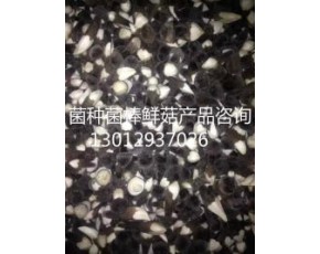 黑雞樅菌鮮菇大量上市每公斤18-28元