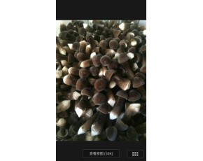 黑雞樅菌鮮菇大量上市每斤18-28元