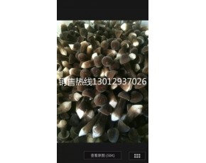 黑雞樅菌鮮菇大量上市每斤18-28元