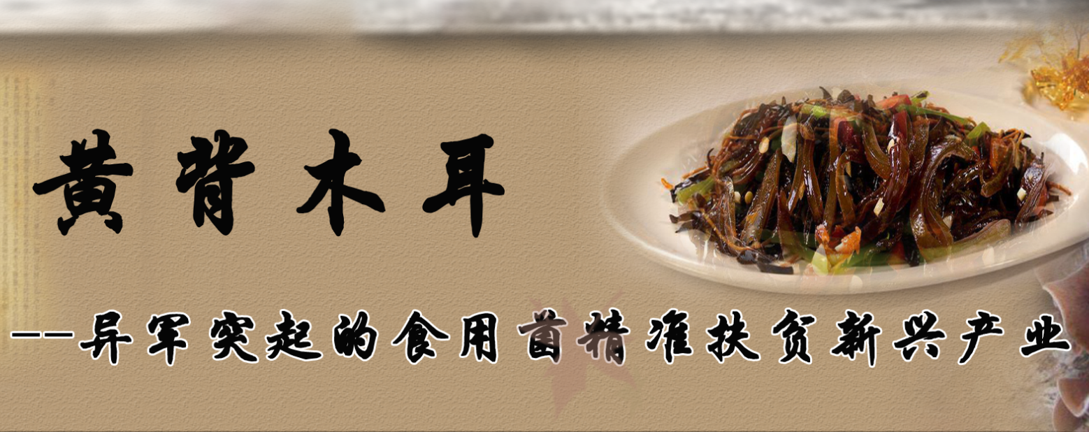 黃背木耳--異軍突起的食用菌精準(zhǔn)扶貧新型產(chǎn)業(yè)