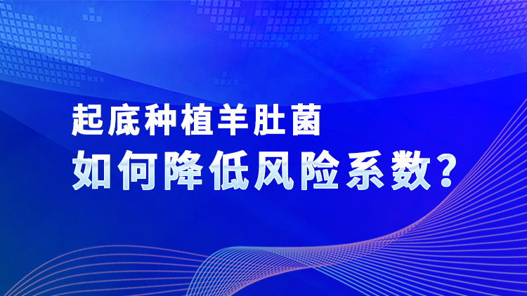 起底種植羊肚菌如何降低風(fēng)險(xiǎn)系數(shù)？