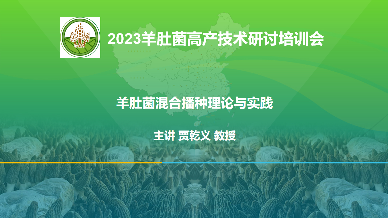 羊肚菌混合播種理論與實踐