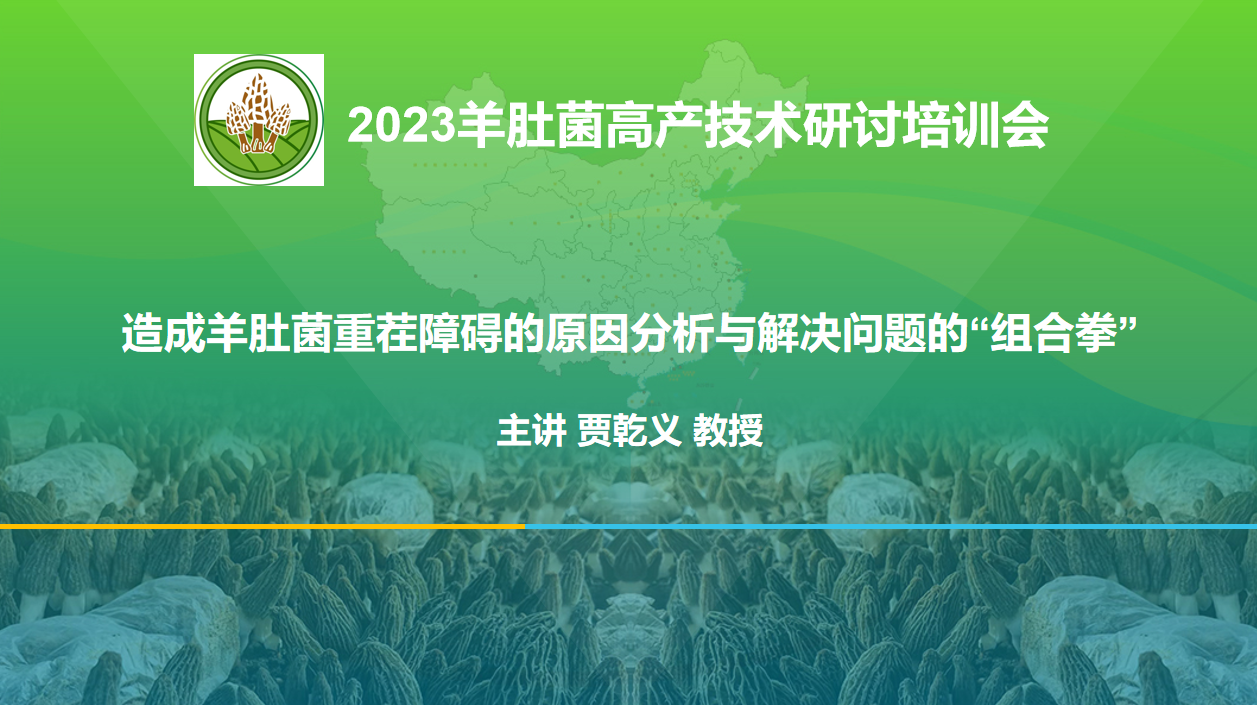 重茬障礙的原因分析與解決問題的組合拳