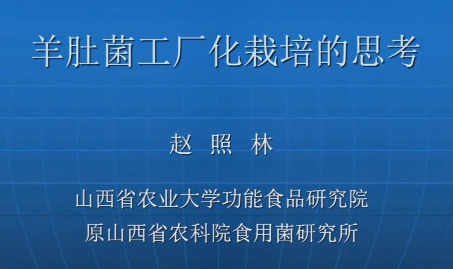 趙照林：羊肚菌工廠化栽培的思考