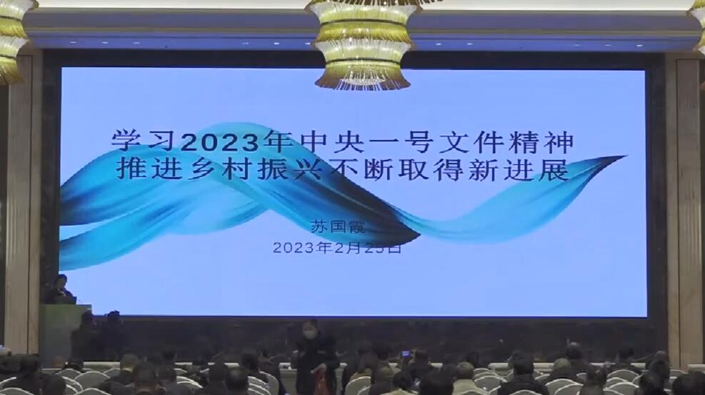 蘇國霞：學習2023年中央一號文件精神推進鄉(xiāng)村振興不斷取得新進展