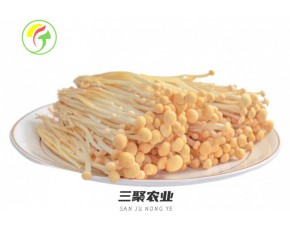 上海三聚農(nóng)產(chǎn)品有限公司