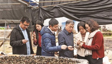 滬明對口合作，福建尤溪食用菌產(chǎn)業(yè)不斷升級