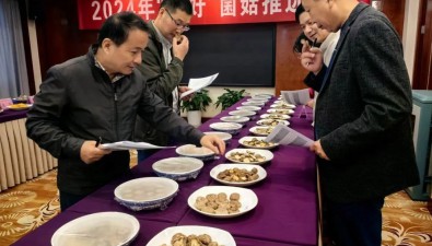 15個品種摘金！2024年“浙好”菌菇名單揭曉