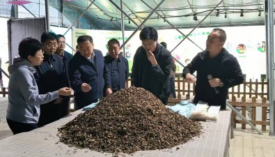 食用菌科普研學基地社會效益、經(jīng)濟效益雙提升