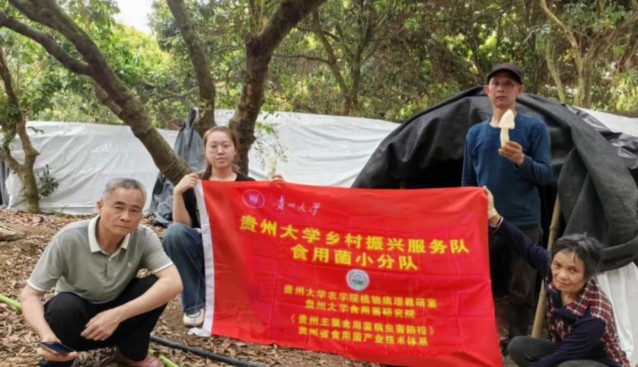 貴大食用菌病害防控專家開展“產(chǎn)學研”調(diào)研