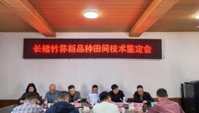長(zhǎng)裙竹蓀新品種“宜長(zhǎng)裙1號(hào)”通過(guò)田間技術(shù)鑒定