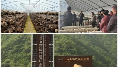 陜西留壩首筆鄉(xiāng)村振興產(chǎn)業(yè)基金擔(dān)保貸款發(fā)放，食用菌產(chǎn)業(yè)受益