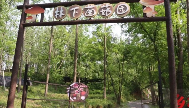 江蘇儀征劉集鎮(zhèn)依托菌菇產(chǎn)業(yè)，打造“產(chǎn)學(xué)研游”模式
