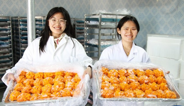 張家口首家金耳菌在萬(wàn)全試種成功