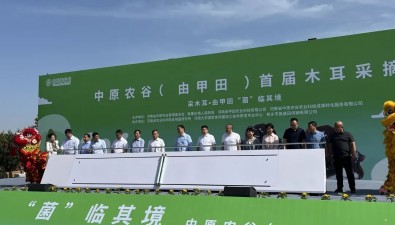 “菌”韻悠長！中原農谷韓董莊鎮(zhèn)（由甲田）首屆木耳采摘節(jié)開幕