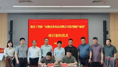 億元項目啟新程！安徽蕭縣丁里鎮(zhèn)食用菌產業(yè)園項目簽約
