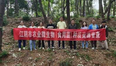 江陰市首次農(nóng)業(yè)微生物（食用菌）種質(zhì)資源普查收官