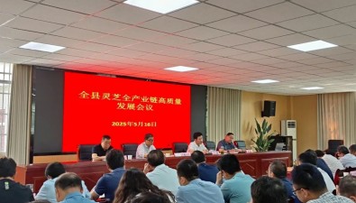 安徽金寨縣：靈芝全產(chǎn)業(yè)鏈高質(zhì)量發(fā)展這樣做