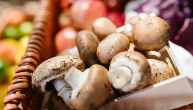 關(guān)于蘑菇的冷知識(shí)，你知道幾個(gè)？
