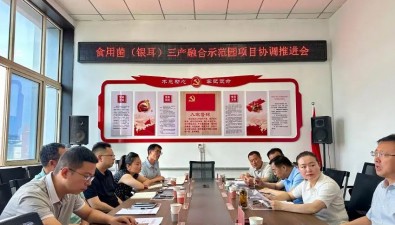 山西長(zhǎng)子縣召開食用菌（銀耳）三產(chǎn)融合示范園項(xiàng)目協(xié)調(diào)推進(jìn)會(huì)