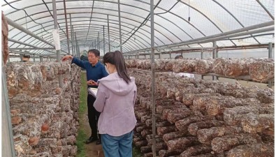 陜西商洛集中開展食用菌質(zhì)量安全專項(xiàng)監(jiān)測(cè)
