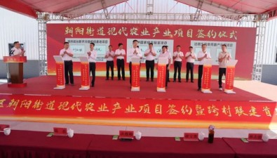計(jì)劃投資3.23億元！福建漳州朝陽街道簽約食用菌項(xiàng)目