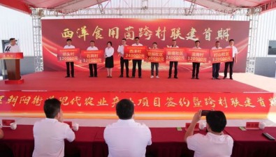 福建漳州7個村共建食用菌產(chǎn)業(yè)基地，首期獲分紅120萬元