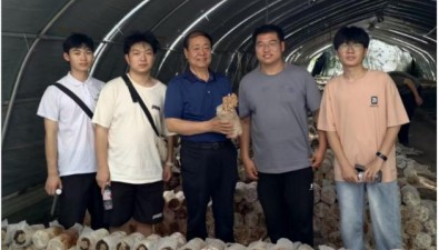 河南世紀(jì)香構(gòu)建育種體系，破譯菌菇增值密碼