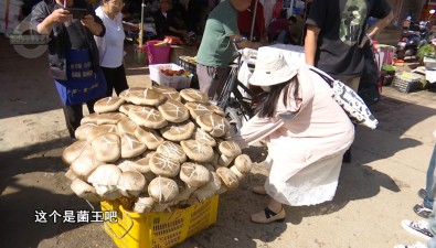 80公斤！賣出1600元！昆明現(xiàn)巨無霸“菌王”