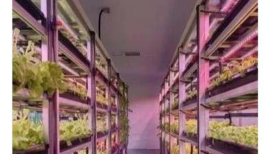帕蘭斯光科技完成對(duì)青島鴻得源天使輪投資