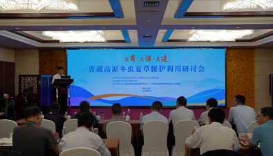五省區(qū)聯(lián)手守護“軟黃金”，青藏高原冬蟲夏草保護刻不容緩！